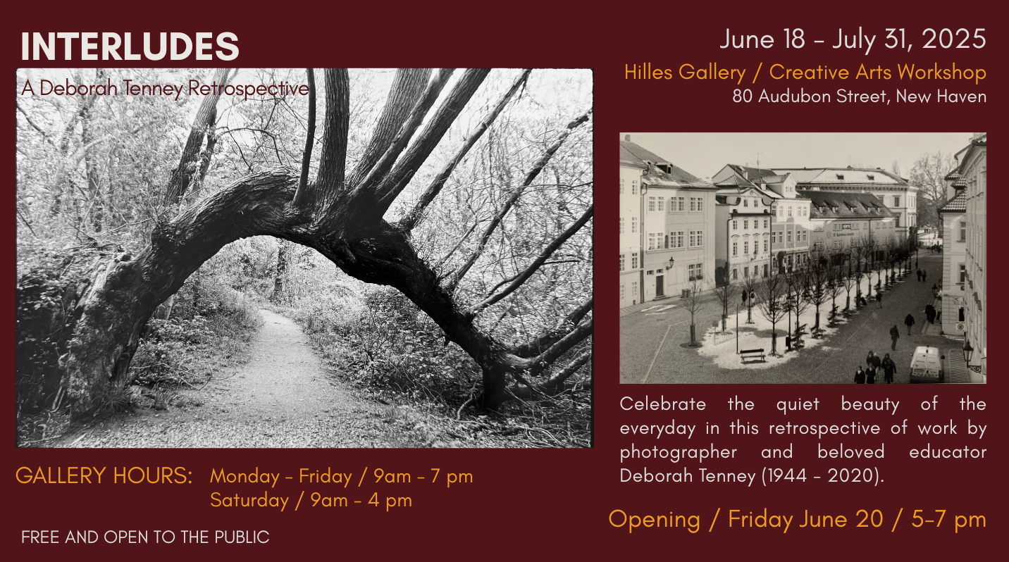 Current Exhibitions
